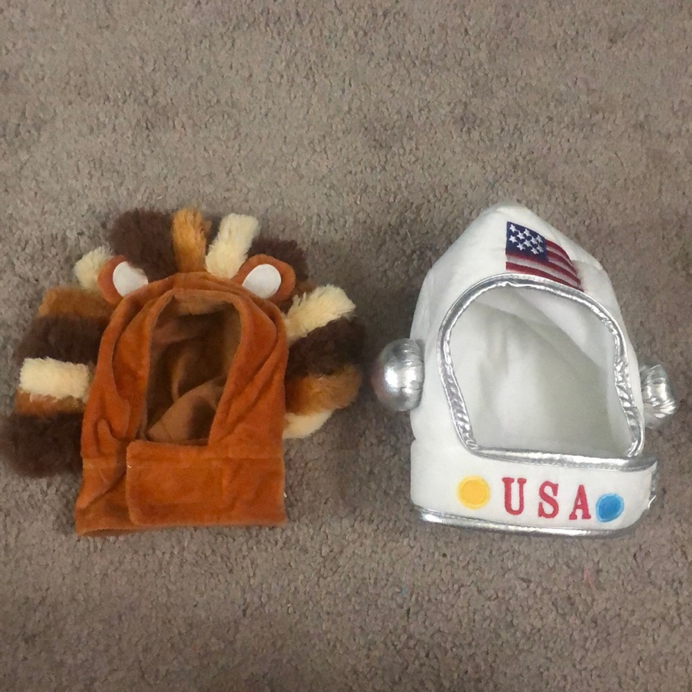 Dog costumes